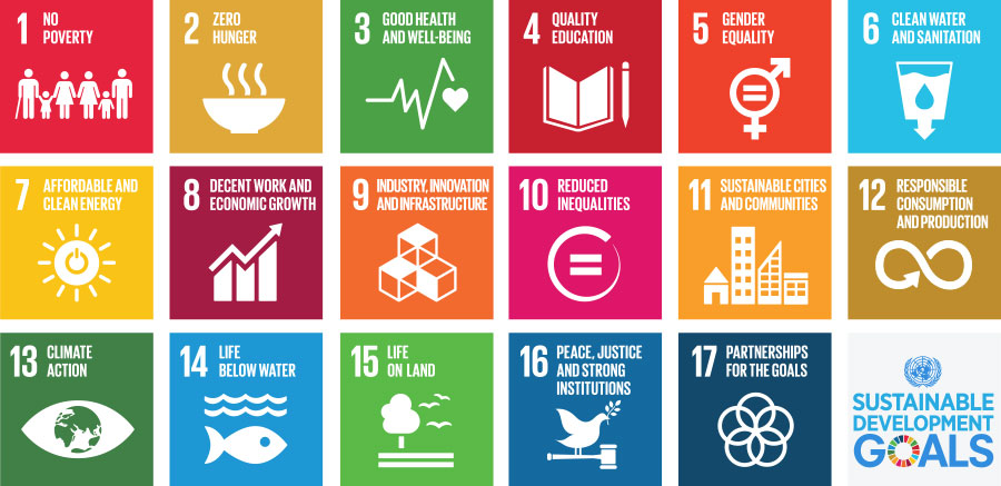 Sustainable development goals